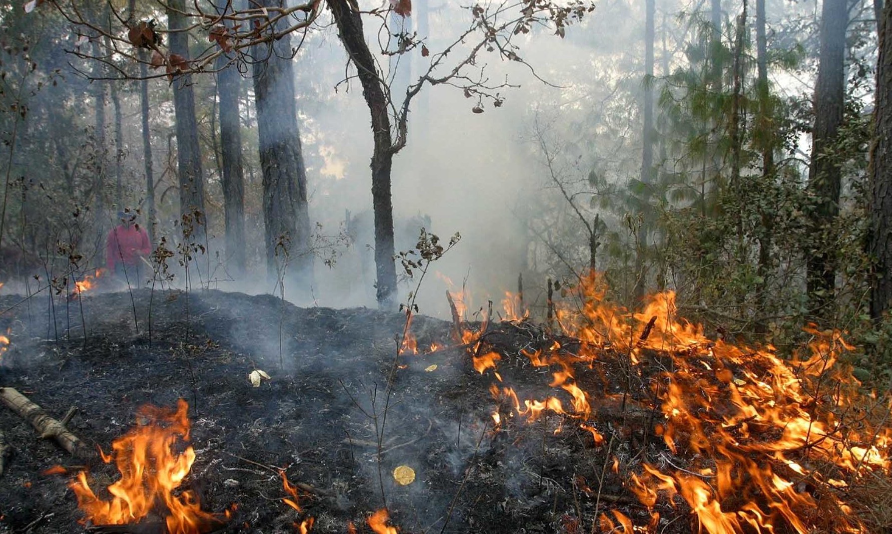 Incendio forestal en Mariquina se mantiene activo