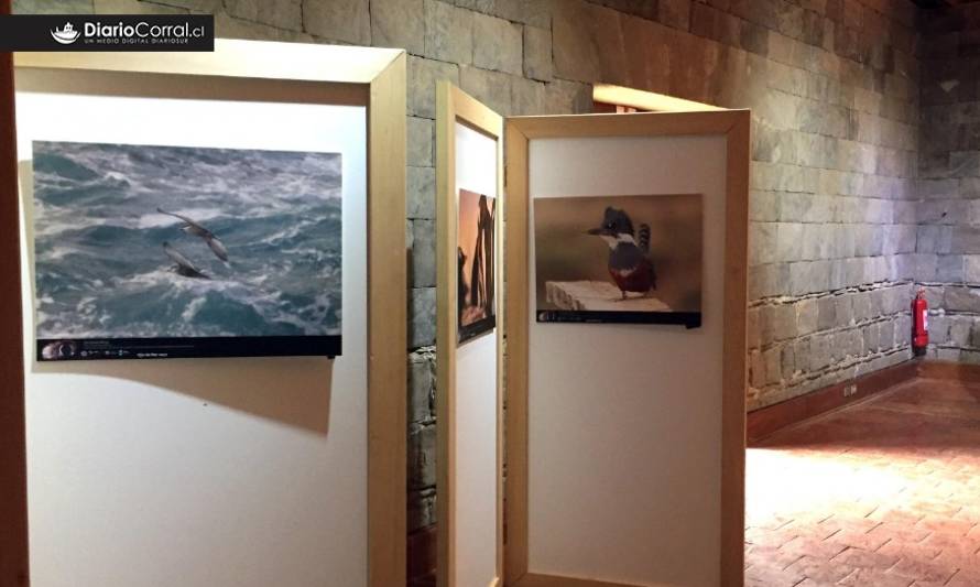 Exposición Ojo de Pez se presenta en el Museo de Sitio Castillo de Niebla