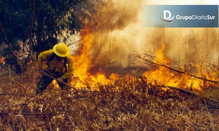Presentan Plan Nacional Contra Incendios Forestales