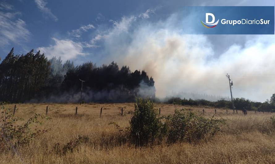 Balance: Incendios forestales suman 200 hectáreas consumidas en Los Ríos