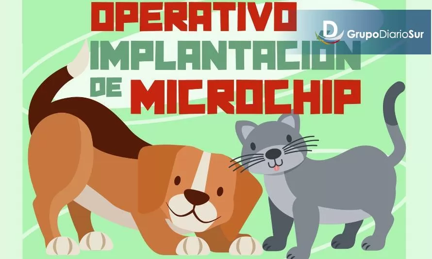 Implantarán microchips a mascotas en Paillaco