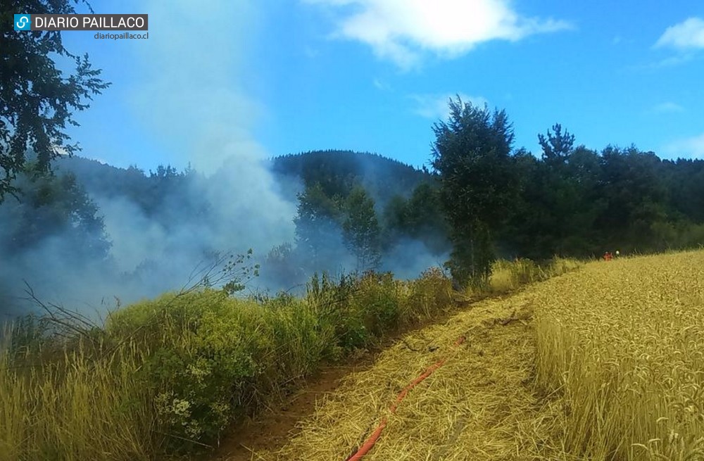 Bomberos de Paillaco, Pichirropulli y CONAF combaten incendio forestal en sector El Casino