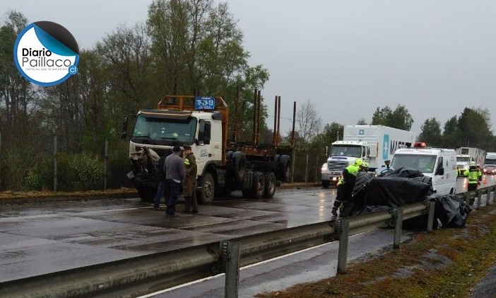 Paillaco: Conductor de tractor falleció luego de colisionar con un camión en Ruta 5