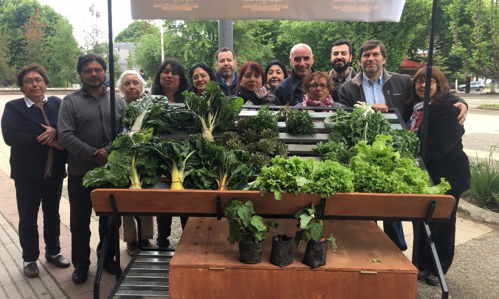 ​INDAP y Municipalidad de Paillaco concretan apoyo con hortaliceras de la comuna