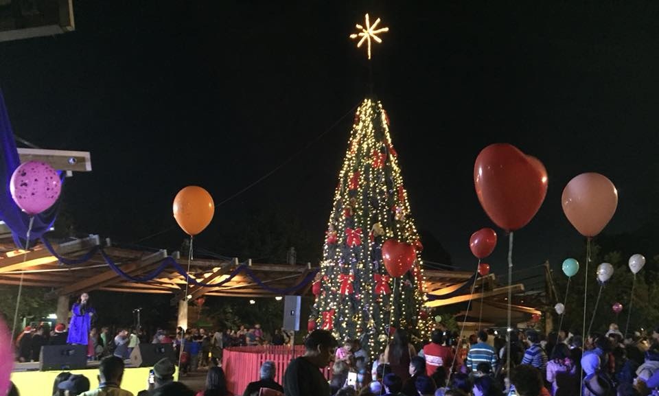 Grupo de delincuentes intentó derribar árbol de Navidad instalado en plaza de Paillaco