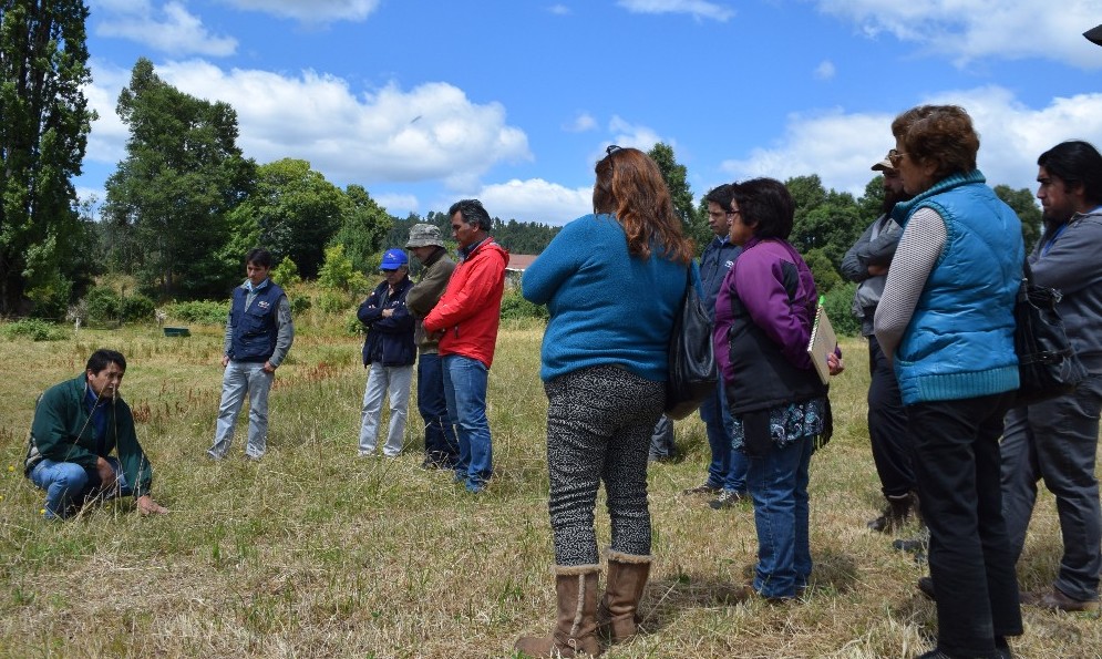 Pequeños ganaderos de Los Ríos participan de días de campo a través convenio INIA-INDAP