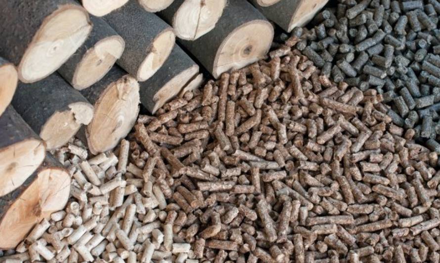 PDI Valdivia hace llamado a prevenir estafas por venta de pellet en internet