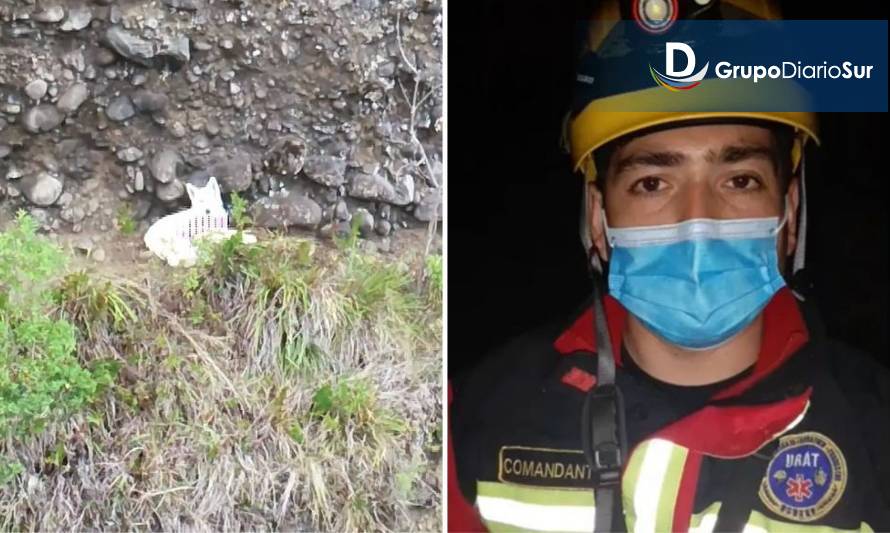 Urat de Osorno ya se encuentra trabajando en rescate de perro en Lago Ranco