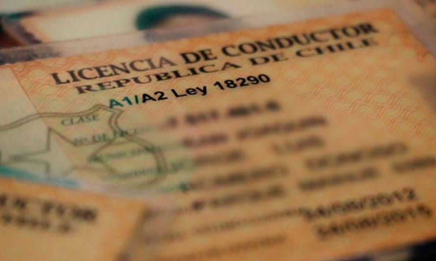 Municipalidad de Paillaco alerta sobre estafas con licencias de conducir