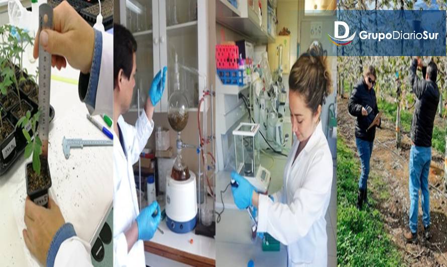 Abiertas las postulaciones para el Doctorado en Ciencias de la Agronomía de la Universidad de Concepción año 2022

