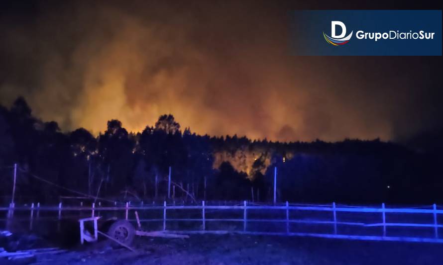 En Combate: 4 incendios forestales se mantienen activos en Los Ríos