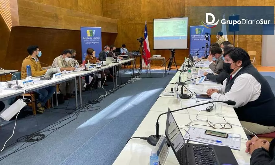 Consejo Regional de Los Ríos definió representantes para sus comisiones de trabajo