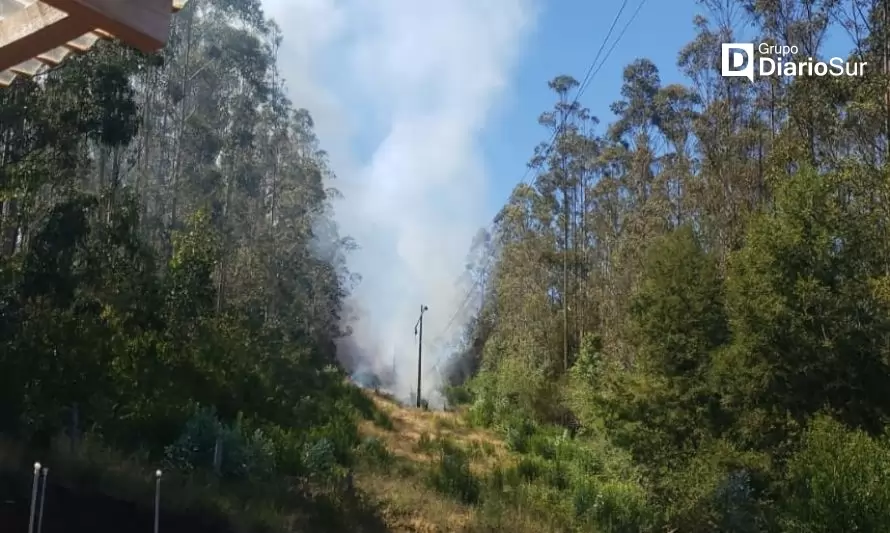 Incendio forestal afecta sector cuesta Soto en Valdivia