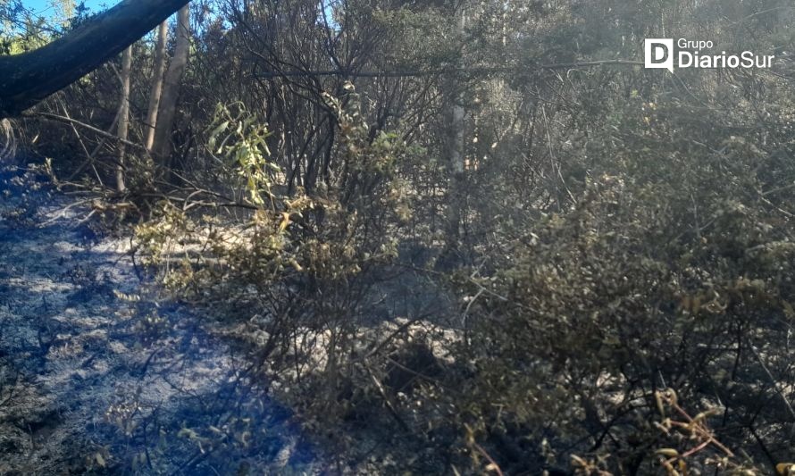 Unidades de Conaf combaten incendios forestales en la Provincia de Valdivia