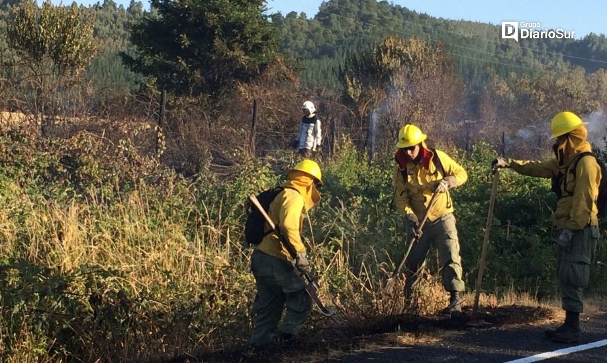 Bomberos de Paillaco acuden a emergencia por fuego en pastizales