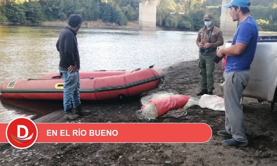 Sernapesca da nuevo golpe contra la pesca furtiva en Los Ríos