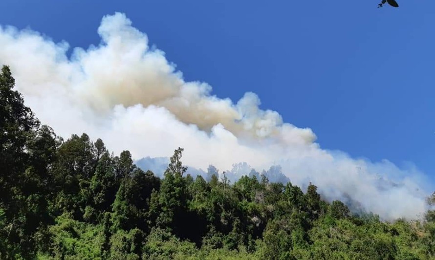 Incendio forestal de proporciones en Rucatrehua, comuna de Panguipulli 