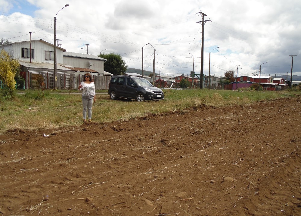 Municipio realizó cortafuegos en sectores norte y sur de Paillaco